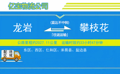 龙岩到攀枝花物流公司